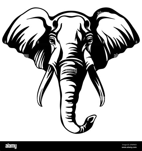 Download 277+ Elephant Head SVG Free Creativefabrica